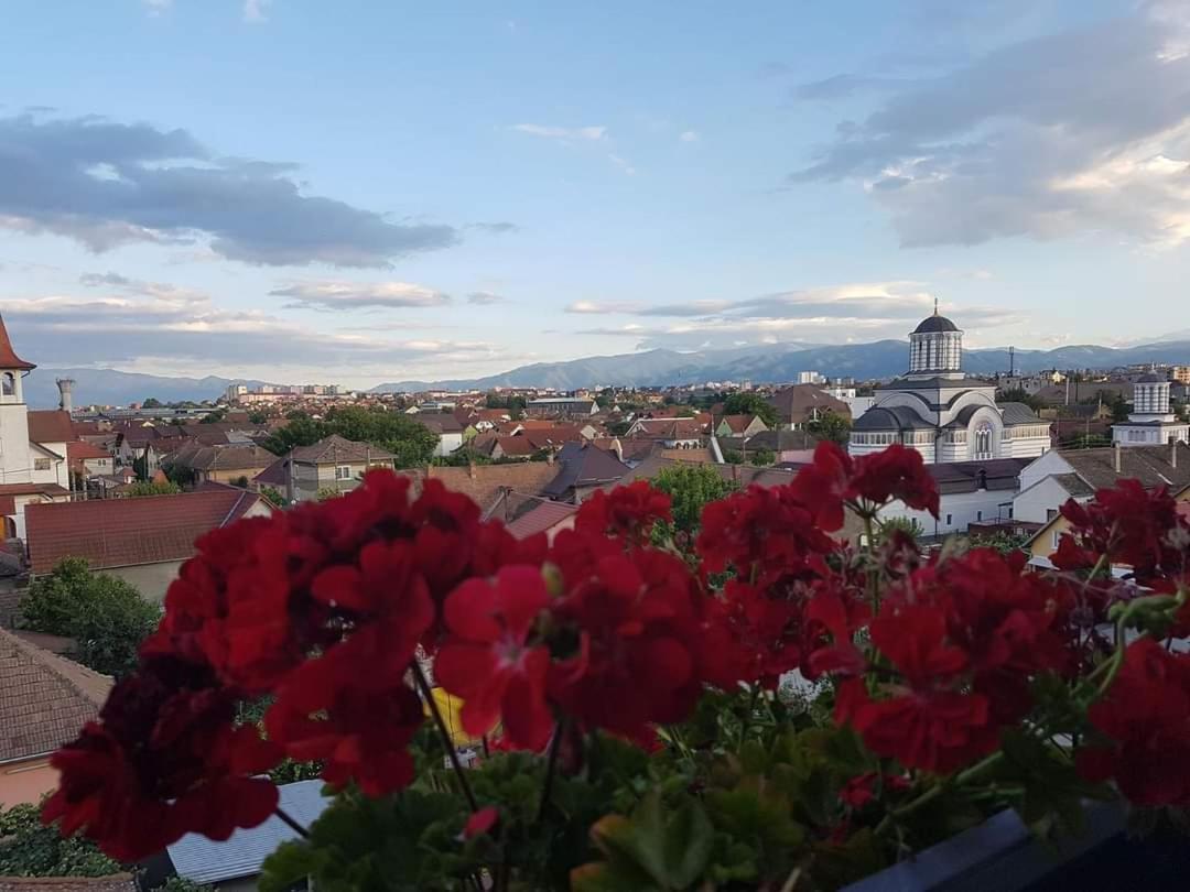 Sibiu Bach Penthouse Apartment Exterior photo